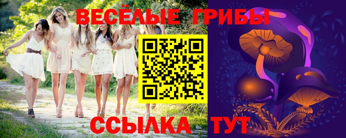 Галлюциногенные грибы Cubensis Арсеньев